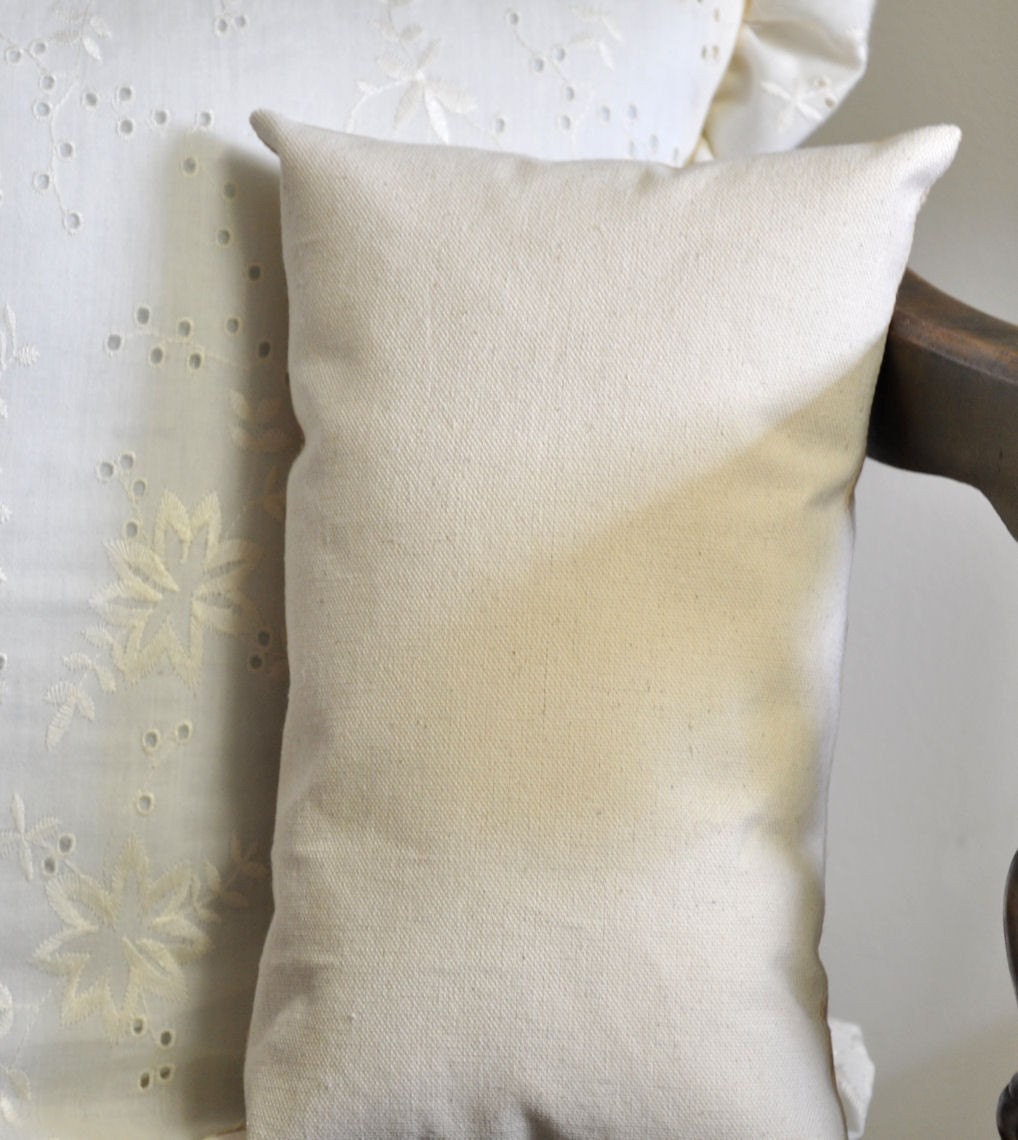 Leonardo DaVinci pillow