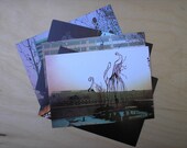 lunariusgraphics postcard set of 5