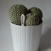 Trio Succulent Knitted Cacti - Pale Green
