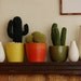 ARIZONA Knitted Cactus