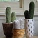 Woollen (knit) Cactus in Ceramic Pot