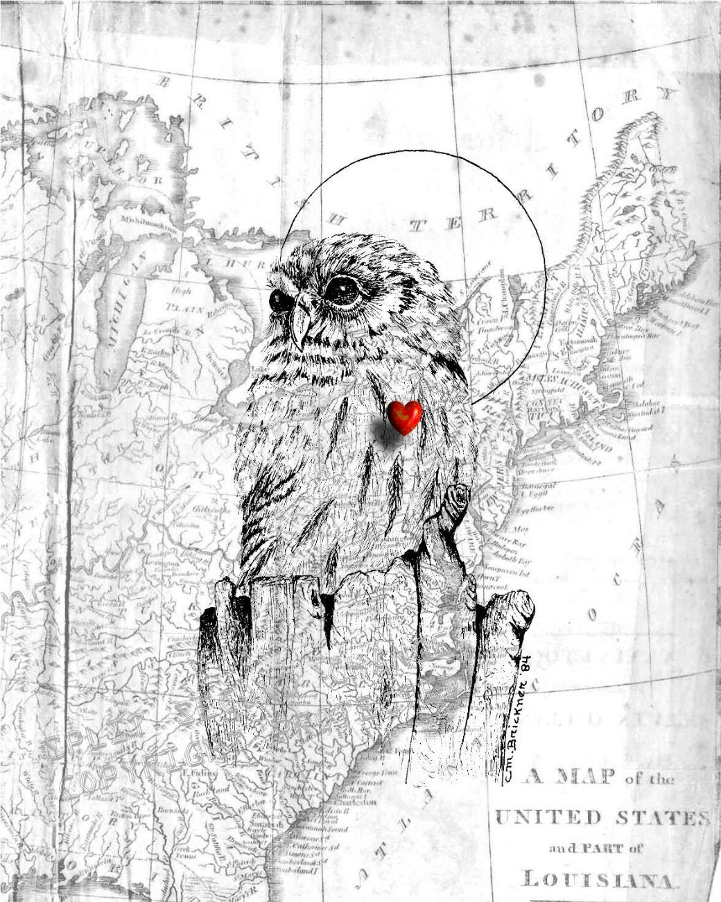 Twilight Keeper of the Night , OwL , 1800's Map of UsA and Louisiana, Original Art Sketch