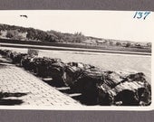 Vintage Black and White Photograph Scenic View 1930s vp024