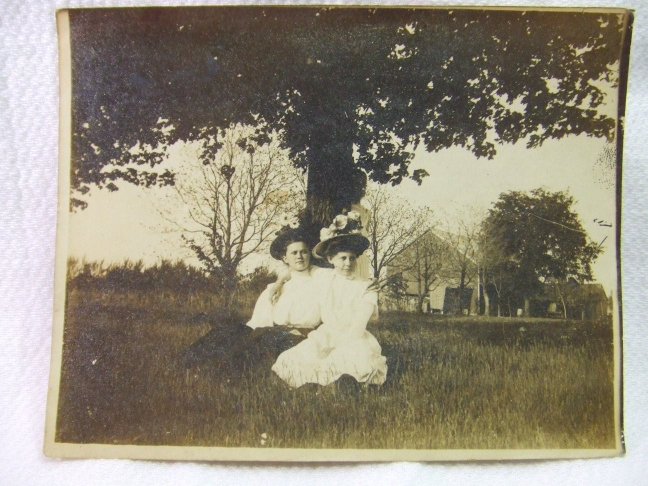 Vintage Photograph of 2 Women Under Tree