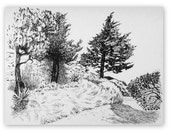 Original ink drawing, 'Pine trees at Villeneuve, Avignon', indian ink, black ink, 9x12 inches