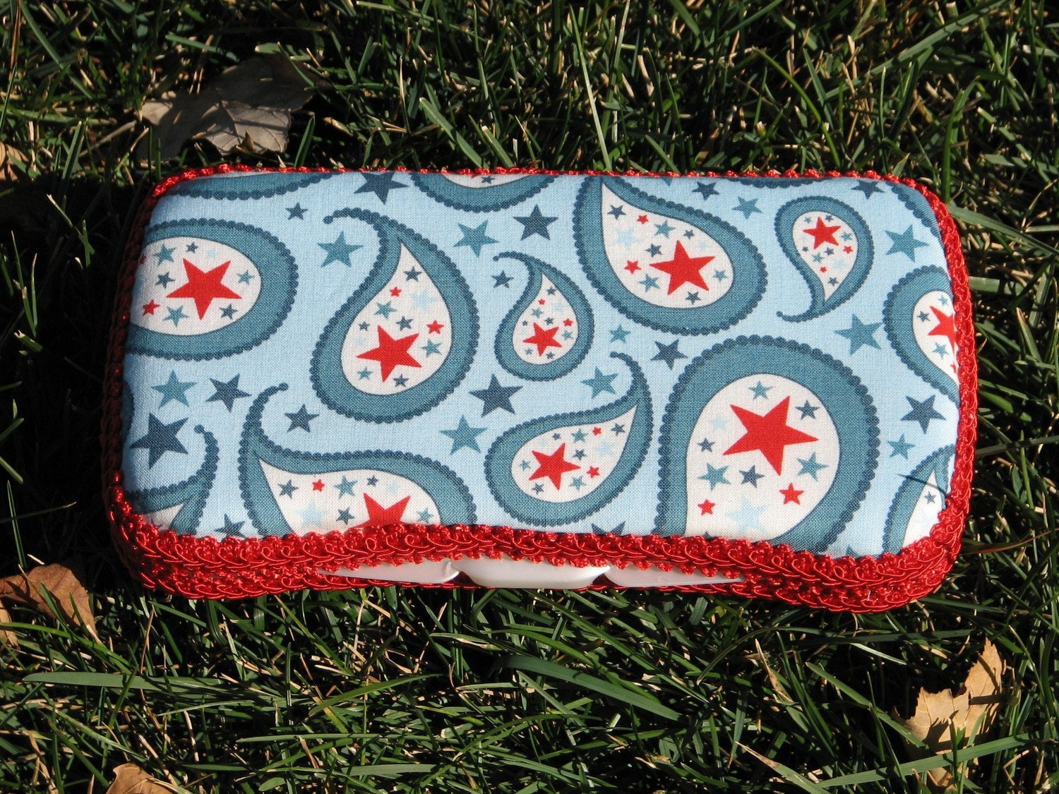 Blue Paisley Wipes Case
