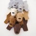 Bear Rug Coaster (Set of Six)