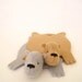 Bear Rug Coaster (Set of Two)