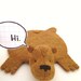 Bear Rug Coaster (Set of Two)
