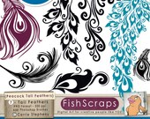 Peacock Tail Feathers - Photoshop Brushes & Silhouette PNG Graphics  - DIY Wedding Invitation Digital - Commercial Use - Design Resource