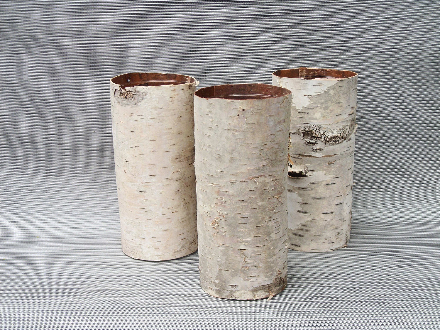 Birch bark vases