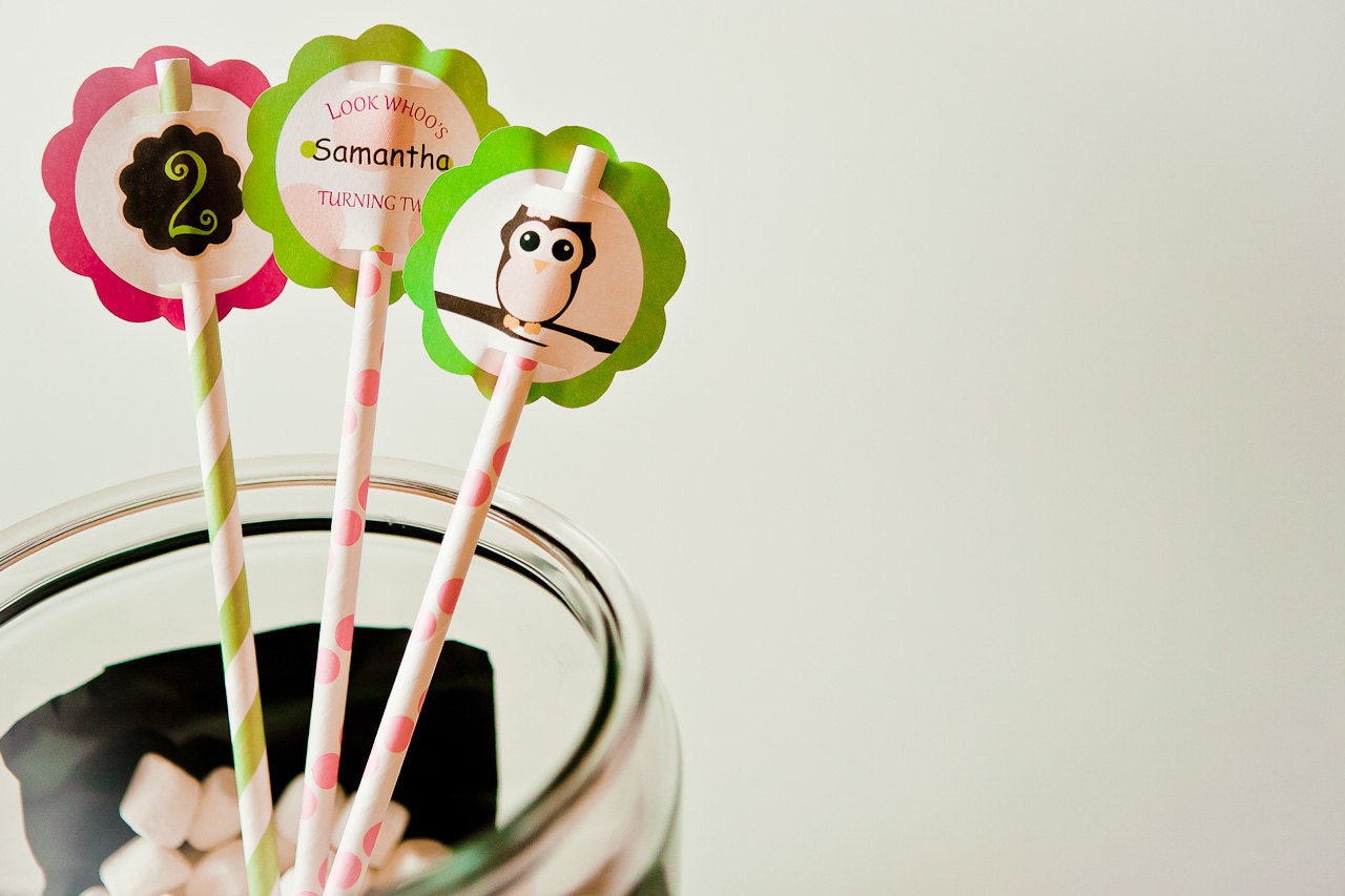 Owl Birthday Paper Straws Drinking and Tag Decals Dozen Set 24