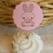 Cute Bunny Rabbit - great for baby showers or birthdays - Cupcake Toppers