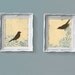 Love Bird Prints, Home Decor, French Country, Cottage Chic, Shabby, 11 x 14 inches