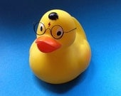 Harry Potter The Duck Who Lived