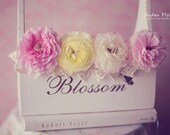 Blossom