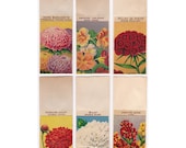6 Seed Packets French Vintage Flower -  Set 3