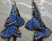 Feather Earrings w Blue Butterfly Wings, Chains, Beads Long Blue & Black Grizzly, White and Black Grizzly