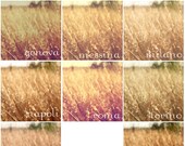 The Italian Collection - 10 Photoshop Actions