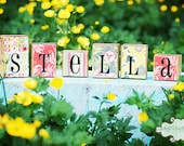 Custom Name Blocks- Made to match any room and bedding