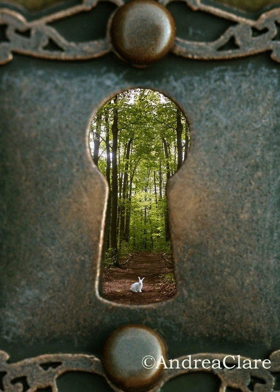 Alice in Wonderland White Rabbit Follow Me 5x7 Fine Art Photograph