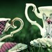 Wonderland Tea Cups 5x7 Fine Art Photograph, Vintage, Kitchen, Shabby Chic