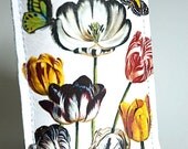 iPhone 4 case Fresh Spring Tulips and Butterflies  - Leather iPhone case suits smart phones exc Blackberry and HTC HD - Free Shipping