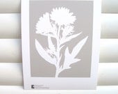 Botanical Art Print 10x8 - Modern Botanical Floral Pretty Flower Garden Paper Cut Design in Gray Grey Silver - Silphium albiflorum