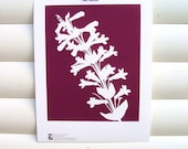 Flower Garden Art Print 10x8 - Plum Purple Penstemon - Modern Botanical Art Print Floral Nature Pretty Cottage Garden Papercut Design