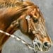 Cowhorse in Action Print 11 x 14