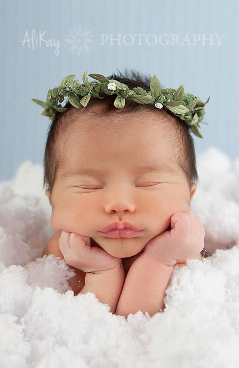 Heaven sent Portrait in a Box  prop collection Newborn Woodland Halo .