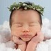 Heaven sent Portrait in a Box prop collection Newborn Woodland Halo .