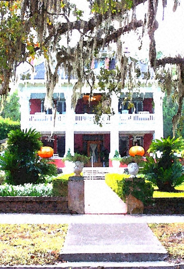 Print, The Herlong Inn, Micanopy, Florida