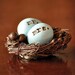 Mr. and Mrs. eggs and nest 3inch