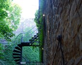 Spiral Staircase
