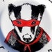 Side Plate - Hand Painted -The Cake Crusader Badger