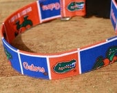 M/L Gator Bait UF Dog Collar