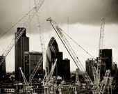 Gherkin and Cranes - now available in 5x7