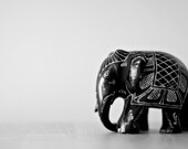 Elephant - 5x7 unframed fine art print