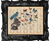 Butterflies Owl and Antique Victrola Vintage Book Print Antique Dictionary Print Antique Music Sheet Book Pages Print