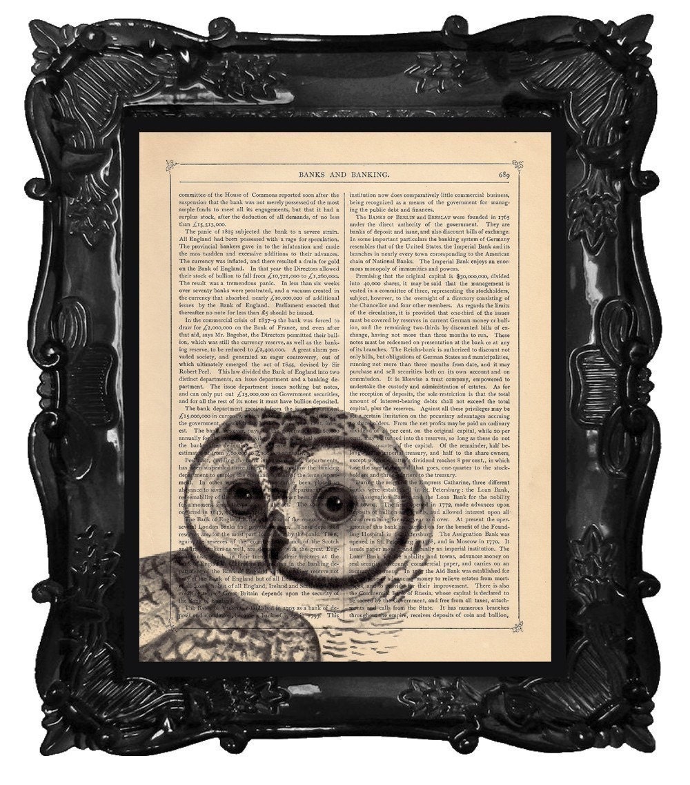 FREE SHIPPING WORLDWIDE OWL PRINT OWL PEEPER 2 on a Antique 1890 Book Page