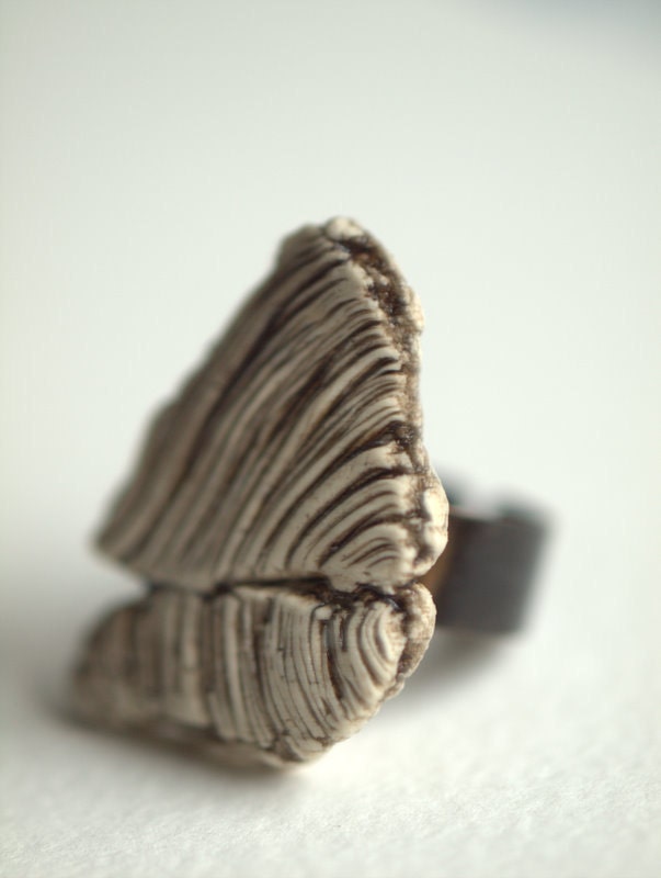 Fragment - An earthy porcelain ring with details of mushrooms
