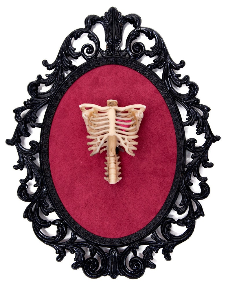 Eternal Love - Heart inside a Skeleton Ribcage - Victorian Framed Object - Wall Art Decor 10.5x13.5