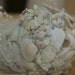 Beach Wedding Seashell Bouquets