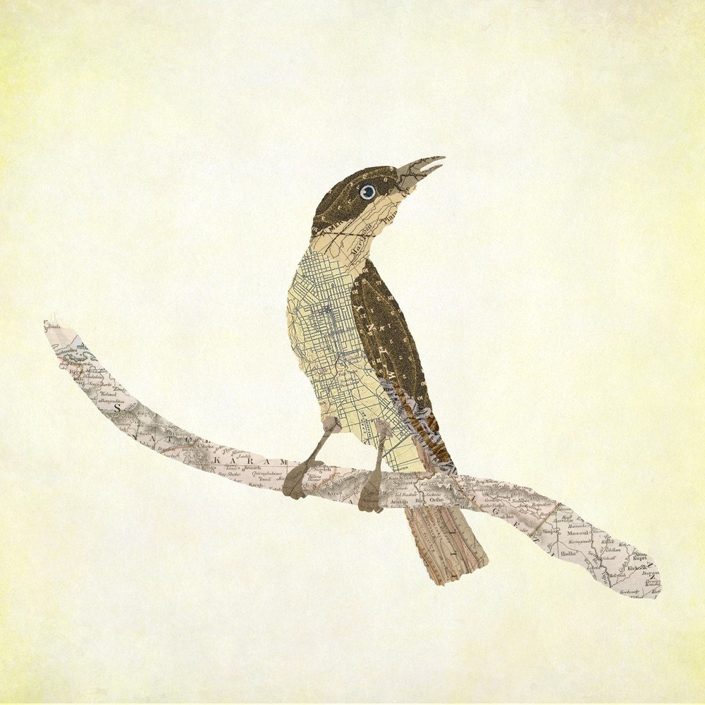 Thrush