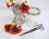 Flower Frog Lid Inserts DIY Wedding Centerpieces, DIY Flower Mason Jar Lids, use with WIDE Ball Jar Rings, 12 Inserts only- No Jars or Rings