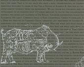The Vim and Vigour of Alvarius B and Cerberus Shoal  - NEI27 - CD
