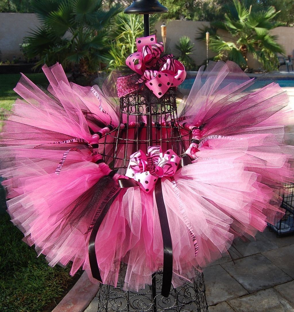 Punky Princess Tutu Set- Perfect for pictures, dress up and a costume