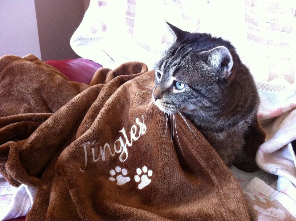 Chocolate Cat Blanket -  Paw Prints W/Personalization