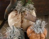 3 Primitive Fall Pumpkin Patch with Crow Shelf sitters